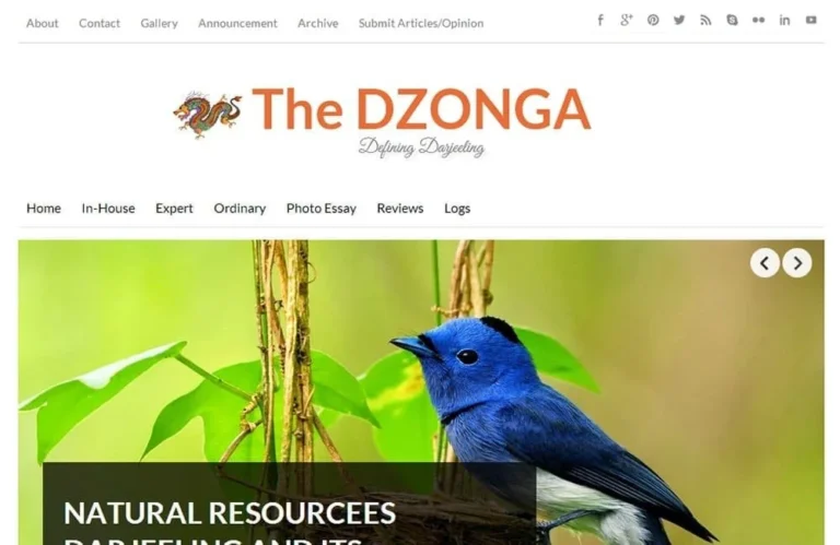 Website design for The Dzonga WorkinFrame Press by Darjeeling Informatics